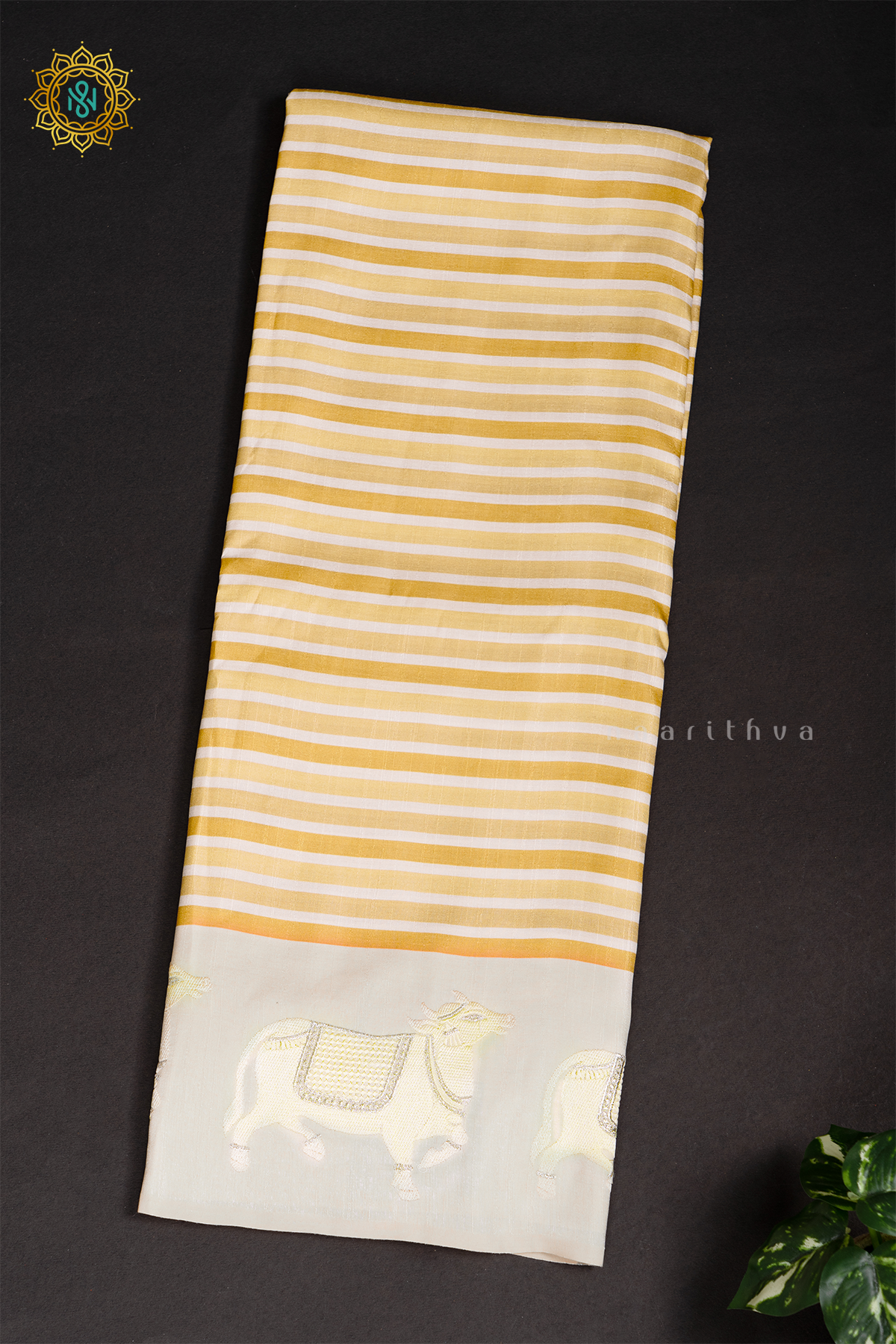 MUSTARD WITH WHITE - MOONGA TUSSAR